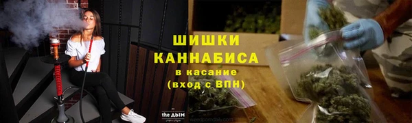 мдпв Кинешма
