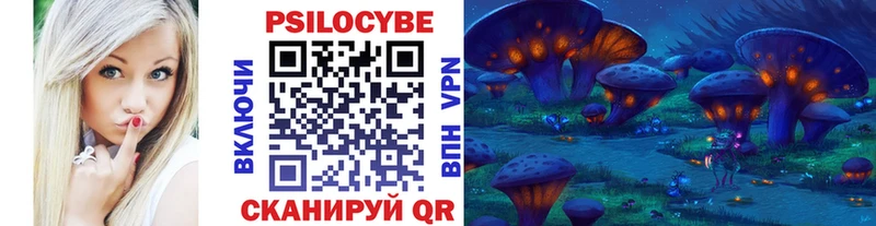 Купить  Лесозаводск  Псилоцибиновые грибы Psilocybe 